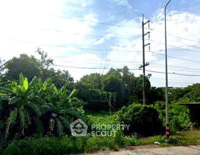 ที่ดิน สนามบินสุราษฎร์ธานี : ที่ดินสำหรับปล่อยขาย 110,640 ตารางเมตร แถว ใน หนองไทร (ID 2095443)