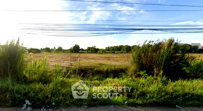 ที่ดิน อมตะนคร : ที่ดินสำหรับปล่อยขาย 91,632 ตารางเมตร แถว ใน พานทอง (ID 2080999)