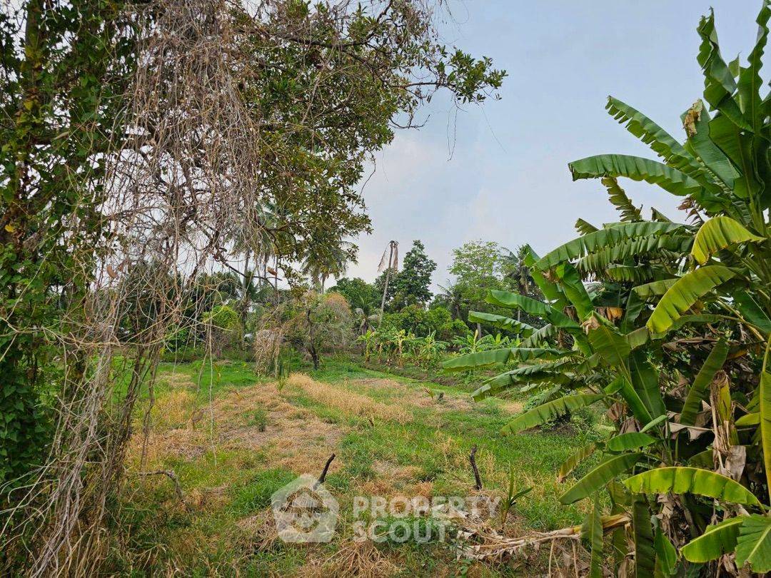 picture 6,668 m² Land for Sale in Bang Khanun (ID 1530175) - 2/9