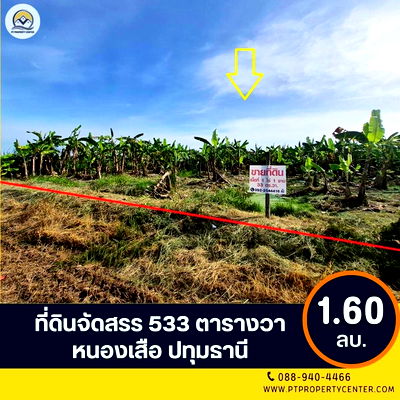 ที่ดิน หนองเสือ ปทุมธานี : ขาย ที่ดินเปล่า 1-1-33 ไร่ ( 533 ตร.ว. ) ซ.บึงบอน 11 ถ.รังสิต-นครนายก  จ.ปทุมธานี 