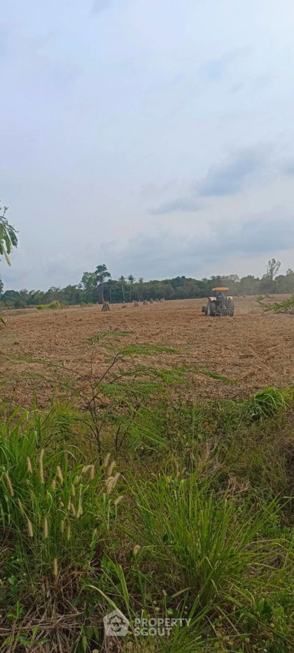 รูป ที่ดินสำหรับปล่อยขาย 39,424 ตารางเมตร แถว ใกล้ เขาชีจรรย์ (ID 2152518) - รูปที่ 7/9