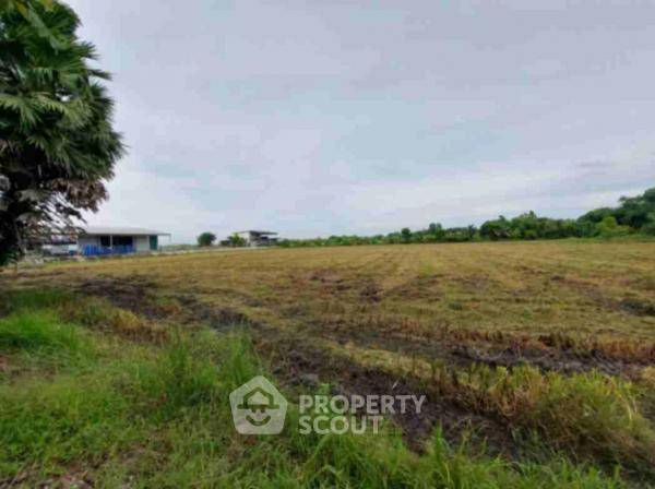 รูป ที่ดินสำหรับปล่อยขาย 12,800 ตารางเมตร แถว ใน สามวาตะวันออก (ID 1990340) - รูปที่ 4/5