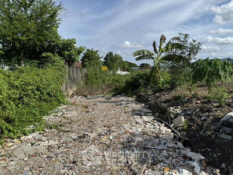 592 m² Land for Sale in Sala Thammasop (ID 1668065)