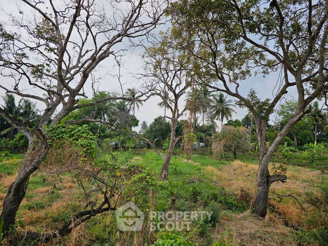 picture 6,668 m² Land for Sale in Bang Khanun (ID 1530175) - 3/9