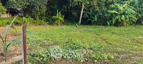 2,216 m² Land for Sale close to Cape Yamu (ID 1834430)