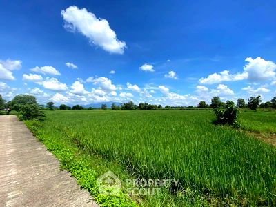 ที่ดิน ไปรษณีย์หางดง  : ที่ดินสำหรับปล่อยขาย 38,400 ตารางเมตร แถว ใน ขุนคง (ID 1932178)