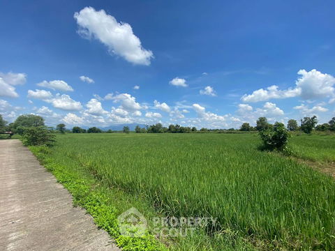 ที่ดินสำหรับปล่อยขาย 38,400 ตารางเมตร แถว ใน ขุนคง (ID 1932178)