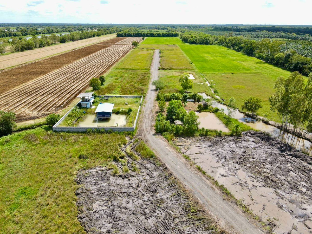 picture Ban Na Ban Phrik Subdistrict Ban Na Nakhon District 2-200 sq m450,000 baht7 km from the 4-lane road Wihan Daeng water and electricity included,  - 3/19