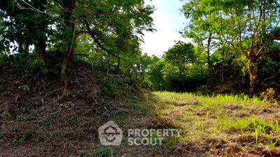 Land for sale Muang Phuket Phuket : 2,811.6 m² Land for Sale close to Nai Harn (ID 2107889)