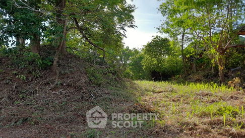 ที่ดินสำหรับปล่อยขาย 2,811.6 ตารางเมตร แถว ใกล้ หาดในหาน (ID 2107889)