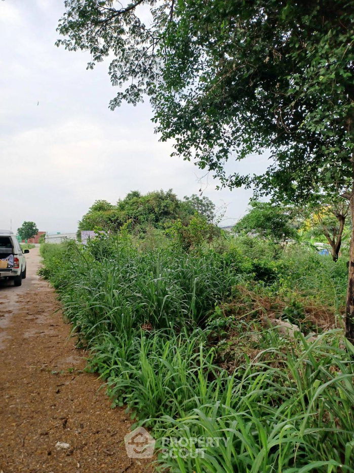 รูป ที่ดินสำหรับปล่อยขาย 480 ตารางเมตร แถว ใน หนองขาม (ID 2089362) - รูปที่ 10/11