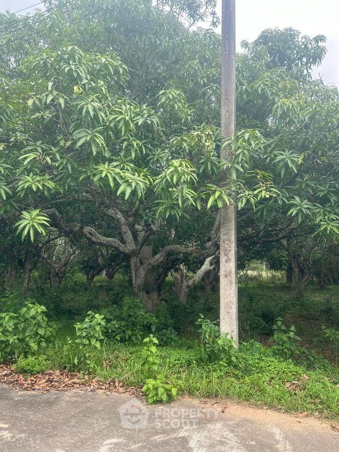 รูป ที่ดินสำหรับปล่อยขาย 4,460 ตารางเมตร แถว ใน หนองหาน (ID 1723893) - รูปที่ 2/3