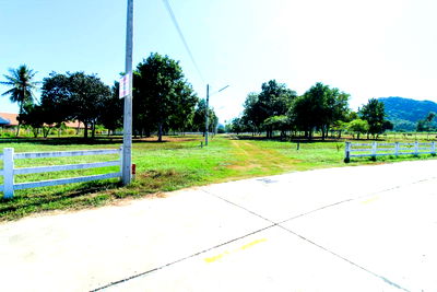 ที่ดิน นาจอมเทียน ชลบุรี : ที่ดินสำหรับปล่อยขาย 4,800 ตารางเมตร แถว ใกล้ สวนนงนุช (ID 2005662)