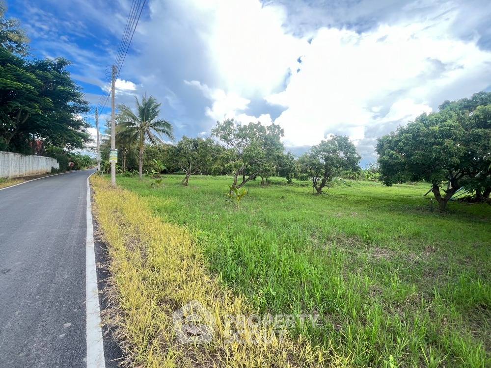 รูป ที่ดินสำหรับปล่อยขาย 8,800 ตารางเมตร แถว ใน ท่าวังพร้าว (ID 2020377) - รูปที่ 4/11