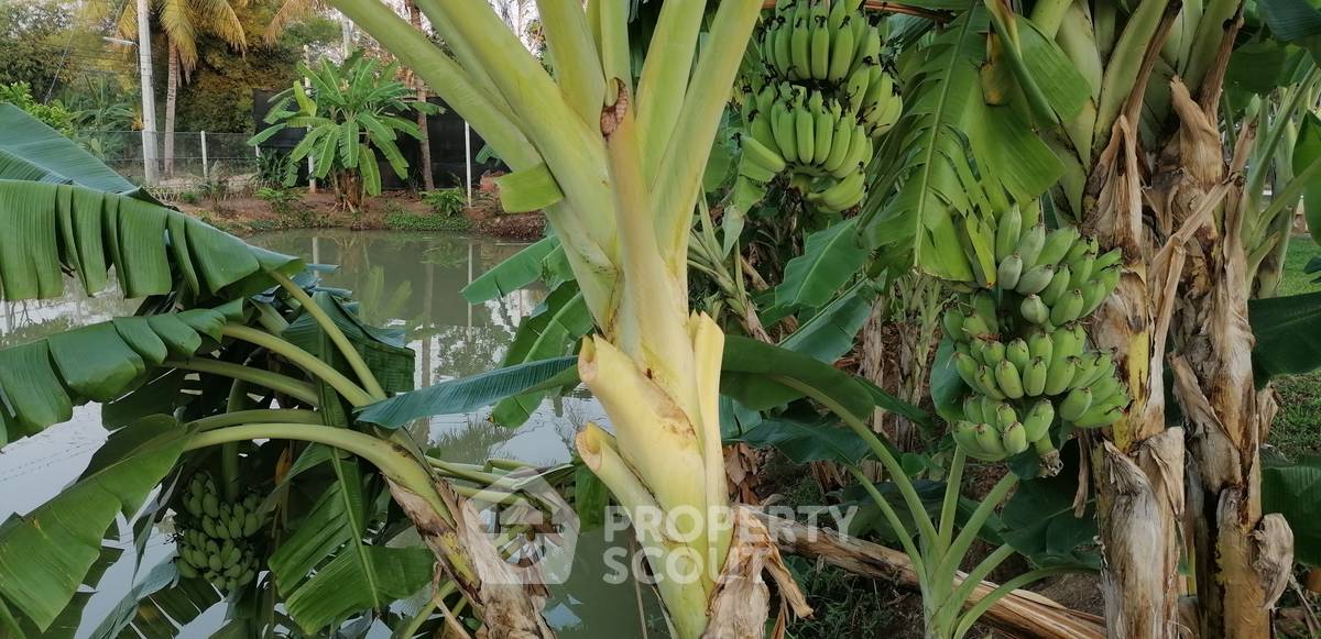 รูป บ้าน 4-ห้องนอน ใน ท่าตะคร้อ (ID 1511085) - รูปที่ 22/30