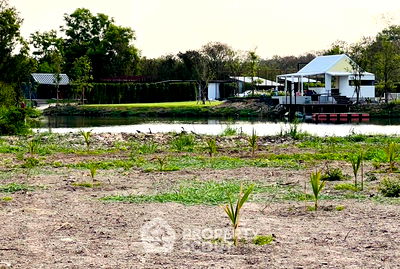 ที่ดิน ถนนพระยาสุเรนทร์ : ขายที่ดิน 419 ตารางวา ใน สามวาตะวันตก (ID 1177259)