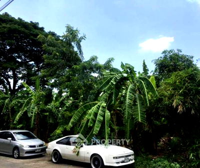 ที่ดิน พัฒนาการ 44 : ที่ดินสำหรับปล่อยขาย 1,600 ตารางเมตร แถว ใน สวนหลวง (ID 1908470)