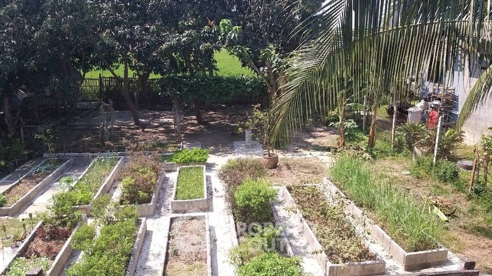 picture 2-BR House in Pa Daet (ID 1302279) - 9/15