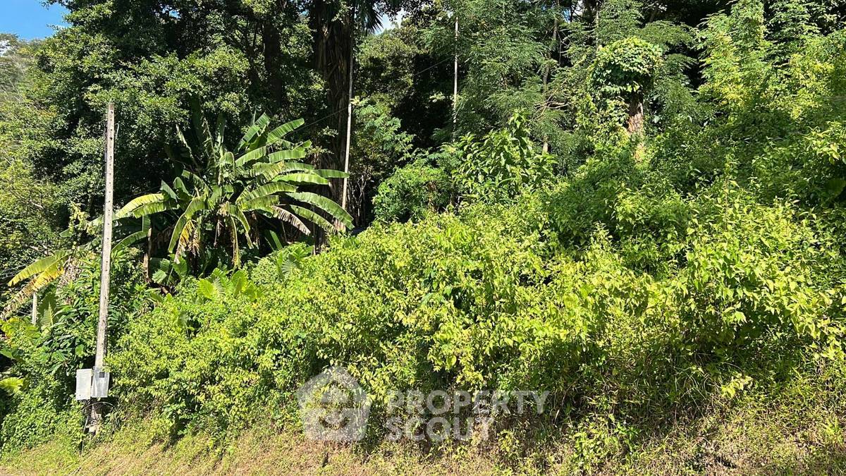 รูป ที่ดินสำหรับปล่อยขาย 1,084 ตารางเมตร แถว ใน ป่าตอง (ID 1406543) - รูปที่ 3/8