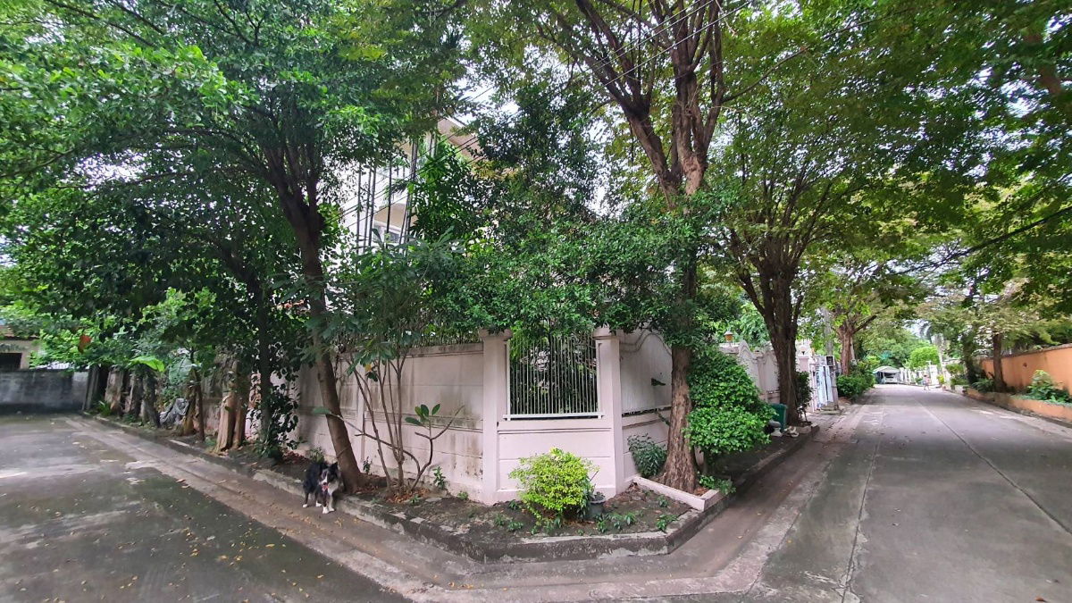 รูป [ขาย | SALE : SHB19392] 🏡หมู่บ้านร่มรื่น ราชพฤกษ์ 28 💥 บ้านเดี่ยว 3 ชั้นหลังมุม พื้นที่จัดเต็ม ใจกลางราชพฤกษ์ ราคานี้ Rare สุด!   - รูปที่ 4/8