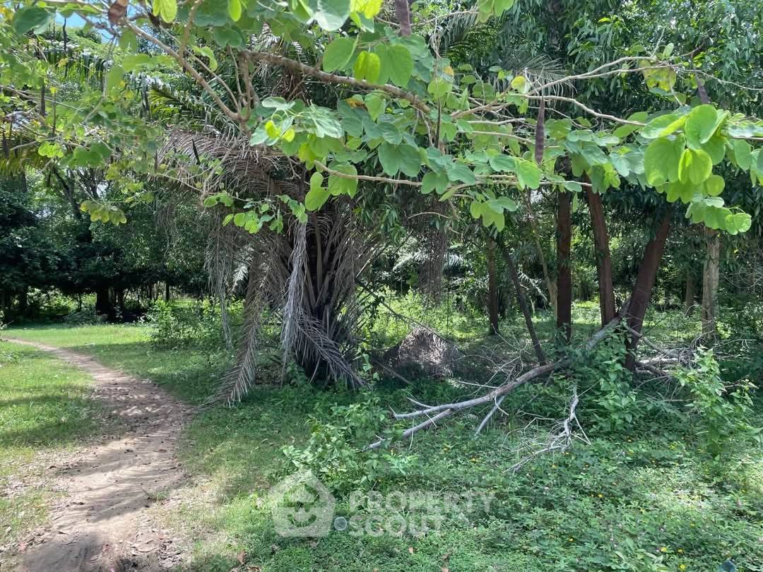 รูป ที่ดินสำหรับปล่อยขาย 31,580 ตารางเมตร แถว ใกล้ สวนนงนุช (ID 2066811) - รูปที่ 5/8