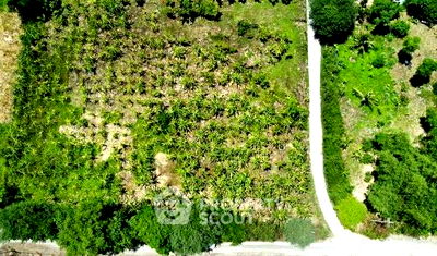 ที่ดิน ไปรษณีย์หางดง  : ที่ดินสำหรับปล่อยขาย 4,804 ตารางเมตร แถว ใน น้ำแพร่ (ID 1727267)