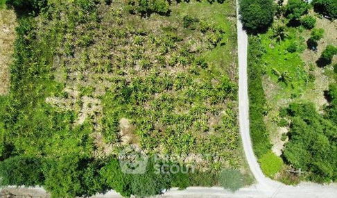 ที่ดินสำหรับปล่อยขาย 4,804 ตารางเมตร แถว ใน น้ำแพร่ (ID 1727267)