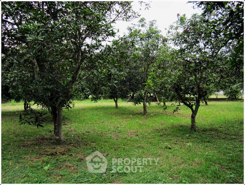 รูป ที่ดินสำหรับปล่อยขาย 23,848 ตารางเมตร แถว ใน ป่าตาล (ID 1568294) - รูปที่ 7/7