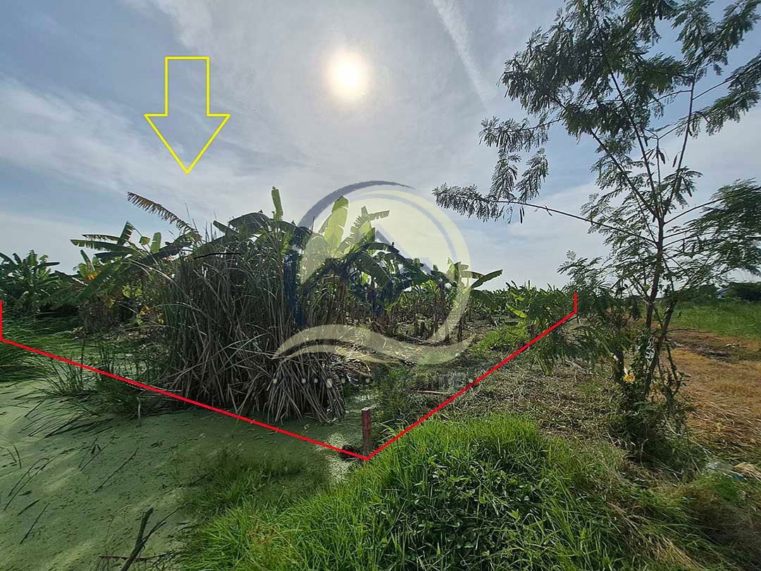 รูป ขาย ที่ดินเปล่า 1-1-33 ไร่ ( 533 ตร.ว. ) ซ.บึงบอน 11 ถ.รังสิต-นครนายก จ.ปทุมธานี - รูปที่ 14/17