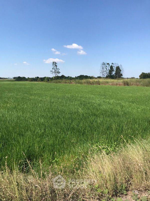 รูป ที่ดินสำหรับปล่อยขาย 17,712 ตารางเมตร แถว ใน พนัสนิคม (ID 1405970) - รูปที่ 2/3