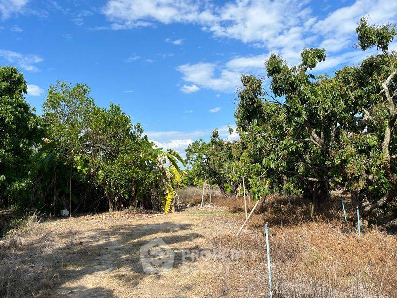 รูป ที่ดินสำหรับปล่อยขาย 21,308 ตารางเมตร แถว ใน หารแก้ว (ID 1372746) - รูปที่ 9/14