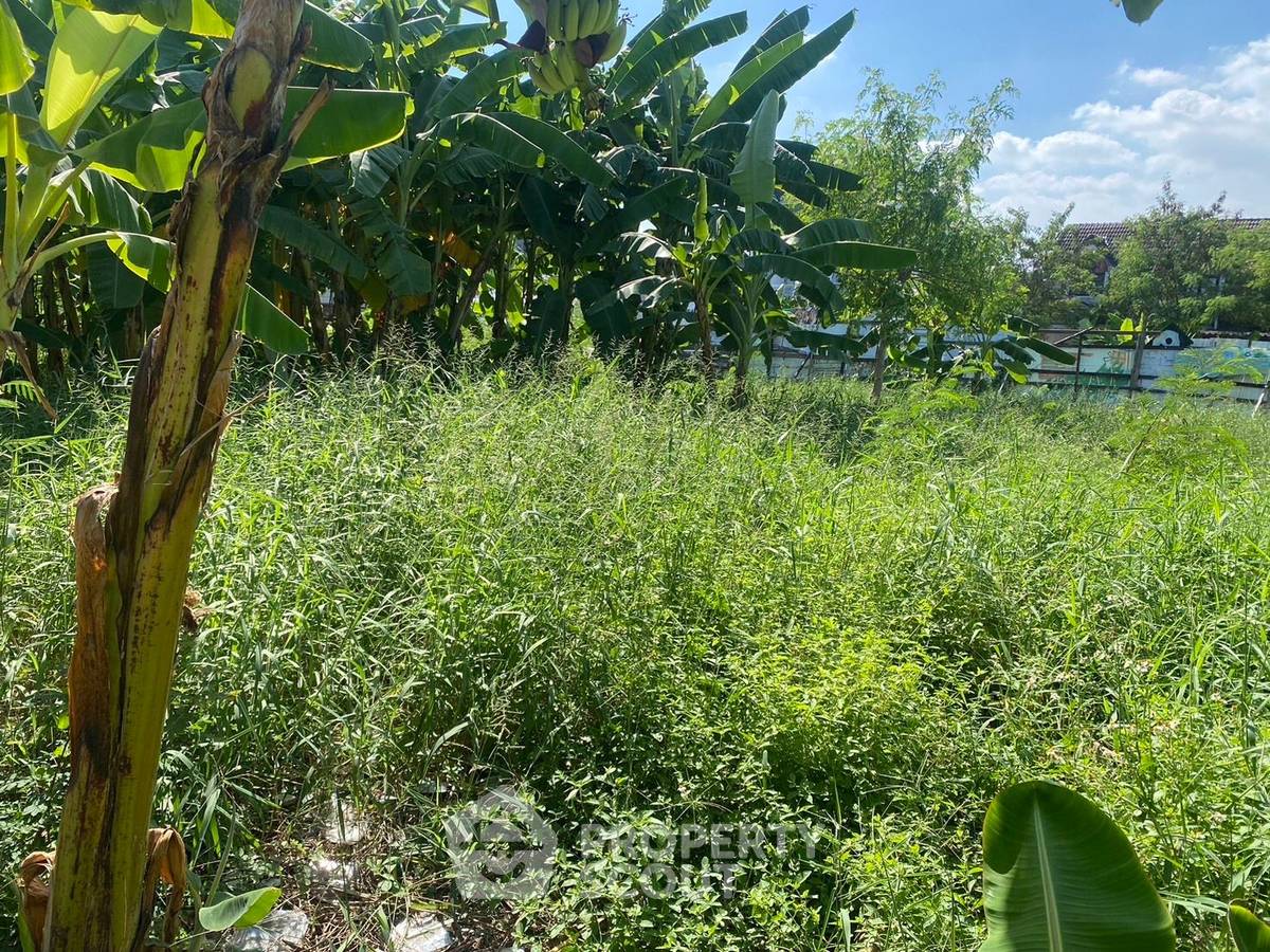 picture 1,080 m² Land with 2-bed House for Rent at Lat Phrao (ID 1962931) - 3/5