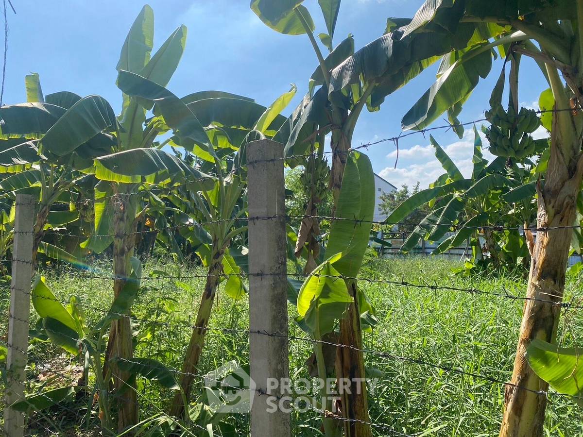 picture 1,080 m² Land with 2-bed House for Rent at Lat Phrao (ID 1962931) - 2/5