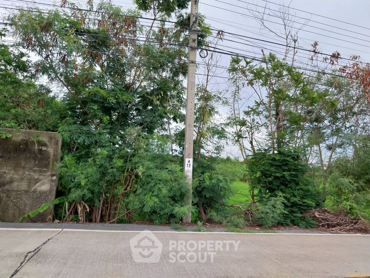 รูป ที่ดินสำหรับปล่อยขาย 38,400 ตารางเมตร แถว ใน บางพลับ (ID 2012682) - รูปที่ 3/7