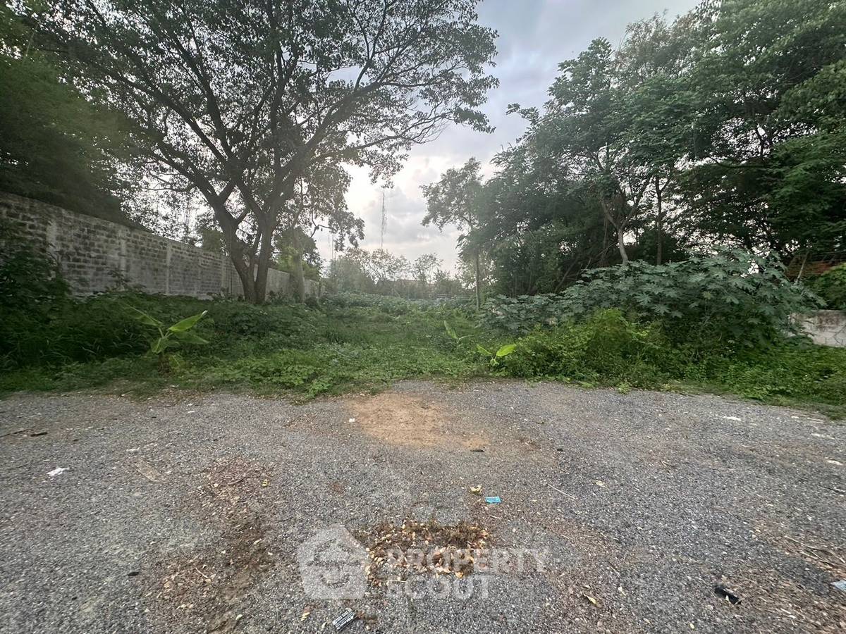 รูป ที่ดินสำหรับปล่อยเช่า 1,720 ตารางเมตร แถว ใน ป่าแดด (ID 1177564) - รูปที่ 1/5