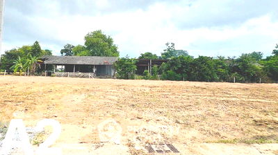 ที่ดิน บางละมุง ชลบุรี : ที่ดินสำหรับปล่อยขาย 492 ตารางเมตร แถว ใกล้ เมืองพัทยา (ID 2184646)