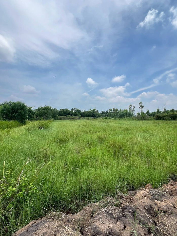 รูป ที่ดินทำเลดีค.13หนองหมูวิหารแดงสระบุรี2-1-71ยกแปลง1790000ใกล้ถนนพหลโยธิน8กมปั้มPT1กมอ.หนองแค8กมรพ.วิหารแดง12กมเข้าออก2ทางฟรีทุกค่าใช้จ่ายจอง30000 - รูปที่ 3/23