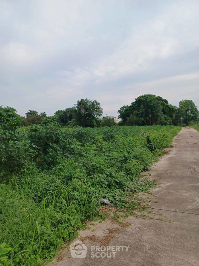 รูป ที่ดินสำหรับปล่อยขาย 480 ตารางเมตร แถว ใน หนองขาม (ID 2089362) - รูปที่ 2/11