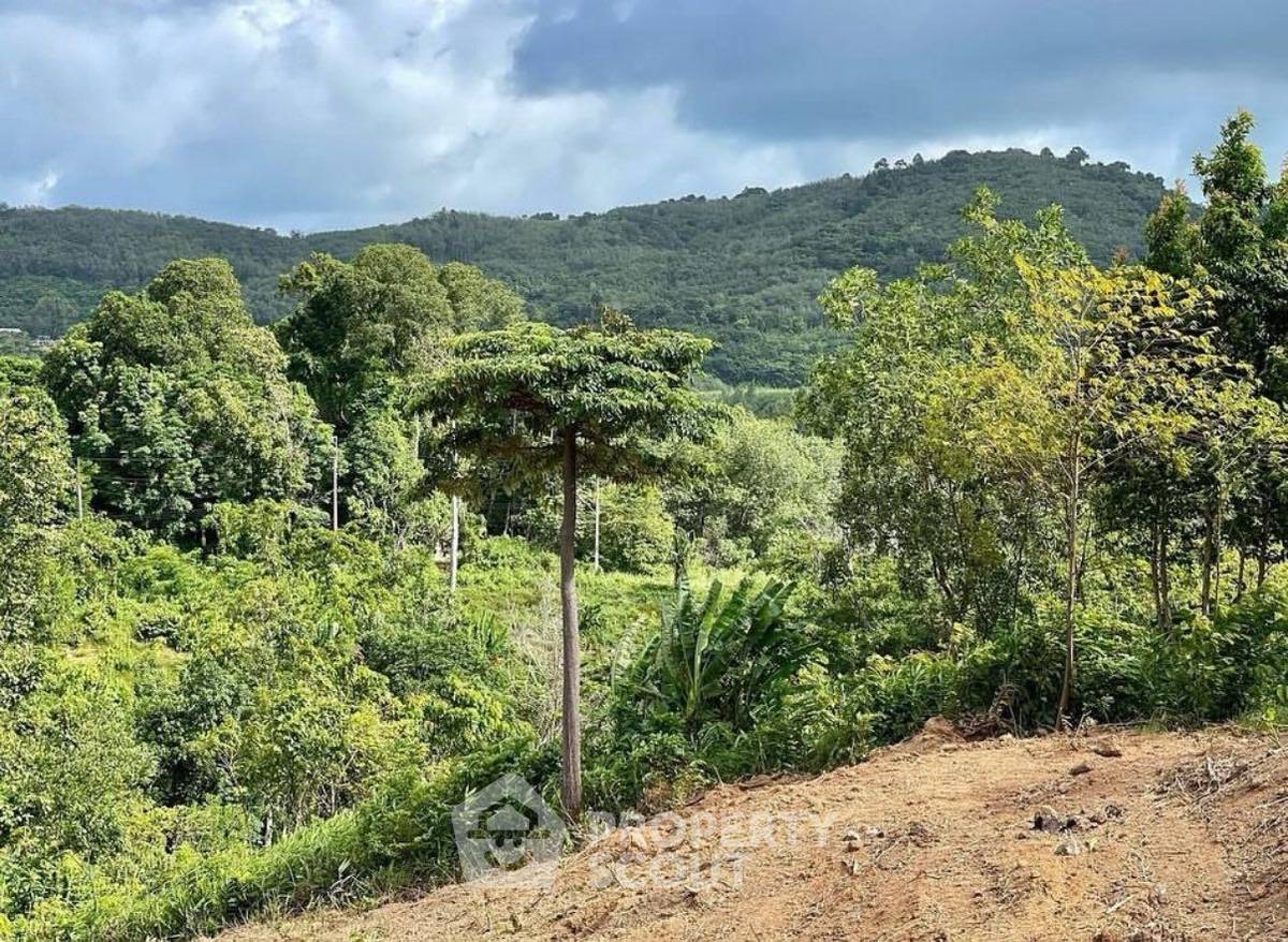 รูป ที่ดินสำหรับปล่อยขาย 3,656 ตารางเมตร แถว ใน เชิงทะเล (ID 2108324) - รูปที่ 5/8