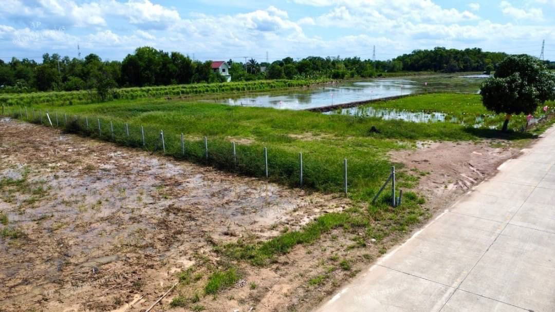 รูป ที่ดินติดถนน2ด้านค10หนองเสือปทุมธานี1ไร่2700000คอนกรีต8มถนนรังสิตนครนายกคาเฟ่แกะบัว650รพ.หนองเสือ300มอำเภอ1.1กมโฉนดพร้อมโอน - รูปที่ 6/19