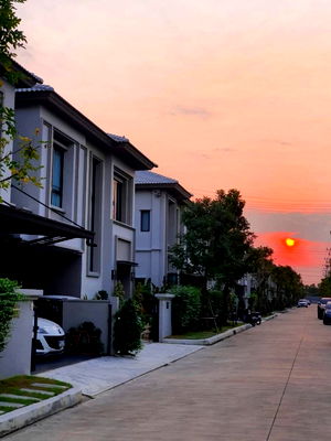 Houses for rent Phahonyothin Road : Home for rent at Grande Pleno Phaholyothin - Rangsit