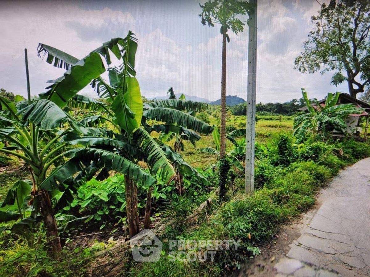 รูป ที่ดินสำหรับปล่อยขาย 5,618 ตารางเมตร แถว ใน ลิปะน้อย (ID 2084246) - รูปที่ 3/7