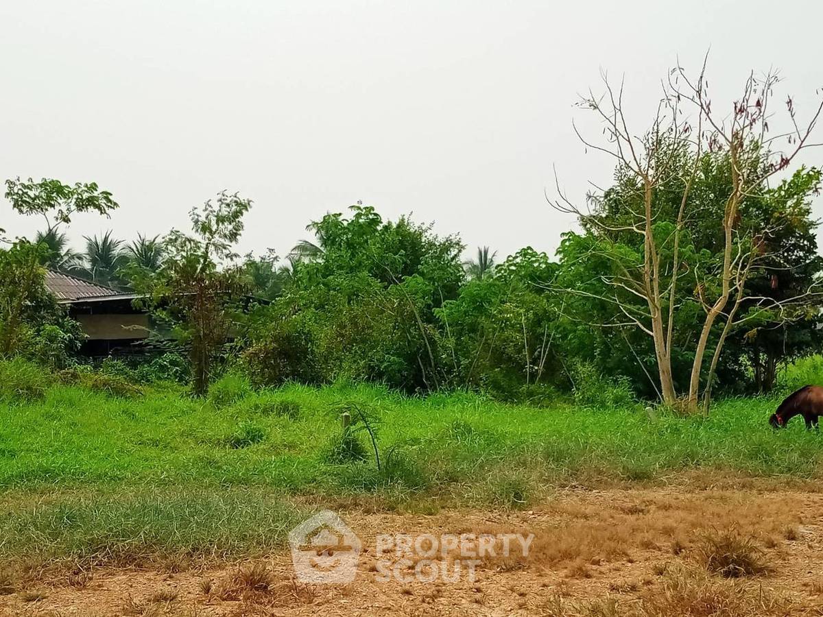 รูป ที่ดินสำหรับปล่อยขาย 1,942.4 ตารางเมตร แถว ใน ยุหว่า (ID 1508787) - รูปที่ 5/6