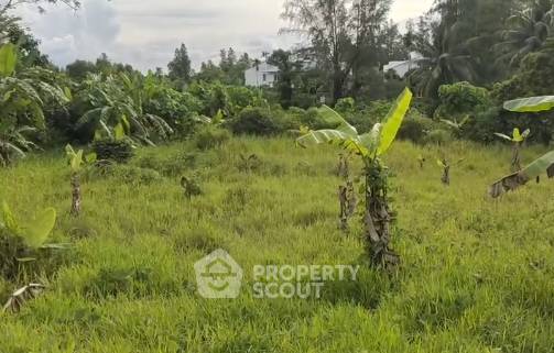 รูป ที่ดินสำหรับปล่อยขาย 2,216 ตารางเมตร แถว ใกล้ แหลม ยามู (ID 1834430) - รูปที่ 4/5