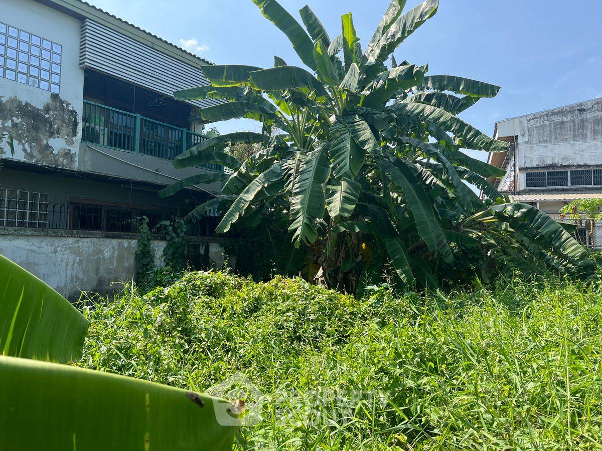 รูป ที่ดินสำหรับปล่อยขาย 676 ตารางเมตร แถว ใน คลองจั่น (ID 2099812) - รูปที่ 4/9