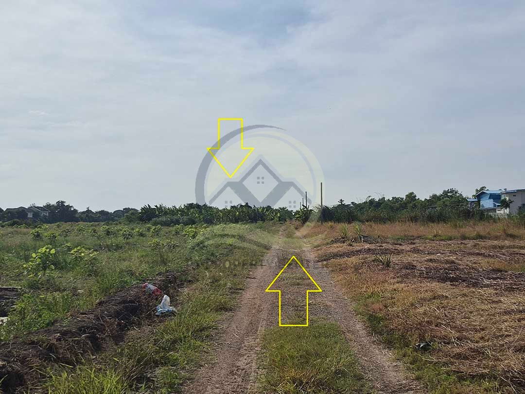 รูป ขาย ที่ดินเปล่า 1-1-33 ไร่ ( 533 ตร.ว. ) ซ.บึงบอน 11 ถ.รังสิต-นครนายก จ.ปทุมธานี - รูปที่ 2/17