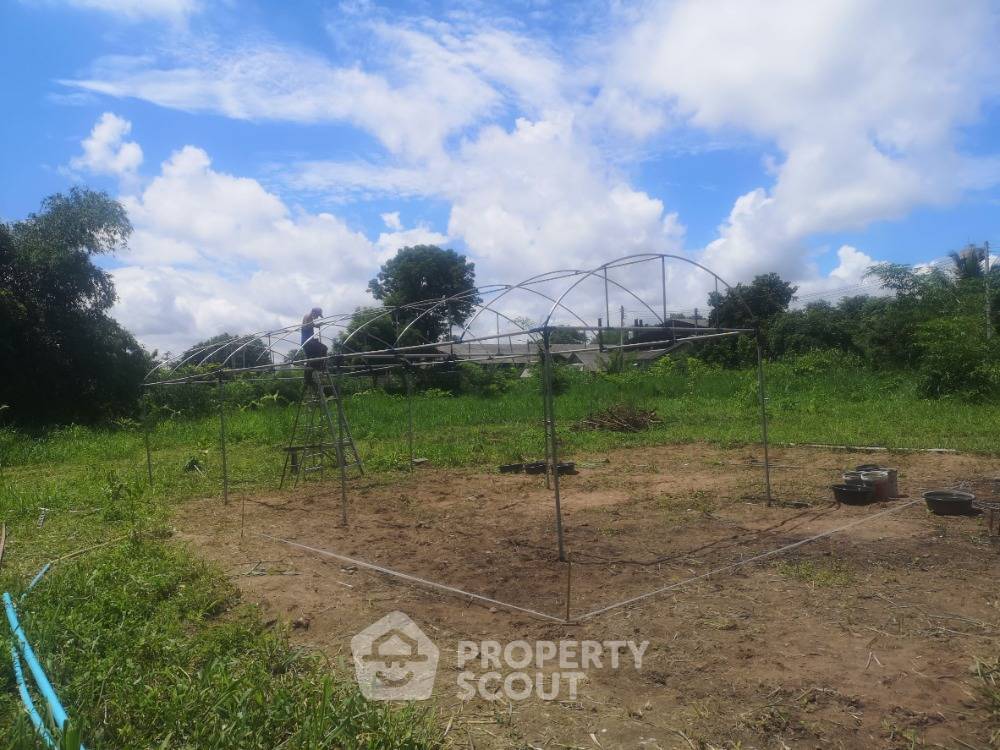 รูป ที่ดินสำหรับปล่อยขาย 10,572 ตารางเมตร แถว ใน มะขุนหวาน (ID 1750389) - รูปที่ 3/6