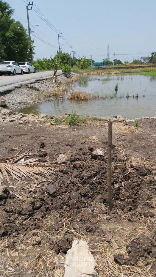 รูป ที่ดินสำหรับปล่อยขาย 5,200 ตารางเมตร แถว ใน ลำปลาทิว (ID 1399538) - รูปที่ 3/5