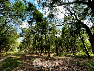 ที่ดิน สวนเบญจสิริ : ที่ดินสำหรับปล่อยขาย 65,600 ตารางเมตร แถว ใกล้ อโศก (ID 1496740)