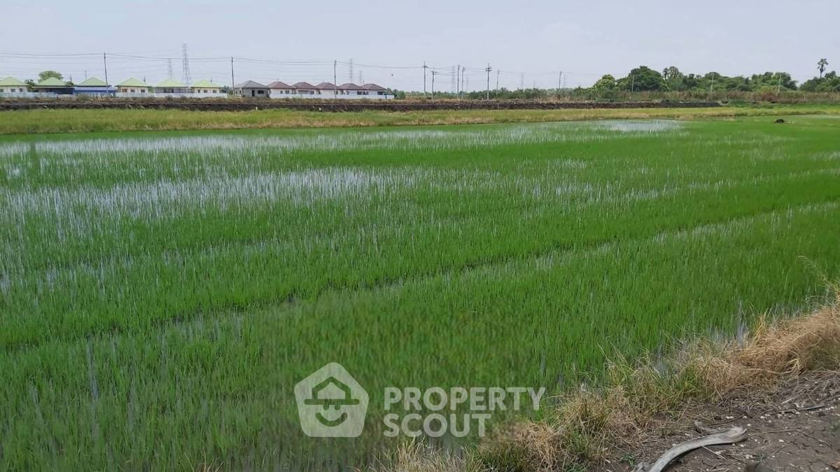 รูป ที่ดินสำหรับปล่อยขาย 5,200 ตารางเมตร แถว ใน ลำปลาทิว (ID 1399538) - รูปที่ 1/5